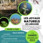 Ateliers : Les joyaux naturels de Labeaume, Maison de Labeaume Samedi 6/12 à 14h